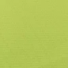 Pomme verte 19