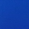 Bleuet 5